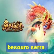 besouro serra-pau morde